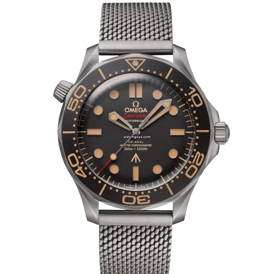 Omega Seamaster Diver 42mm 210.90.42.20.01.001 Brown Dial Titanium