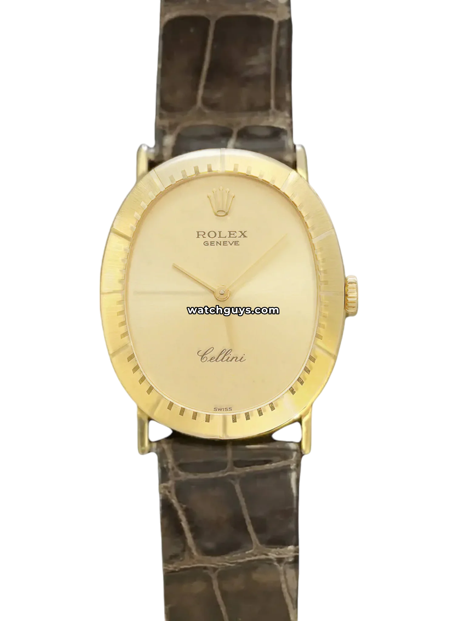 Zoom