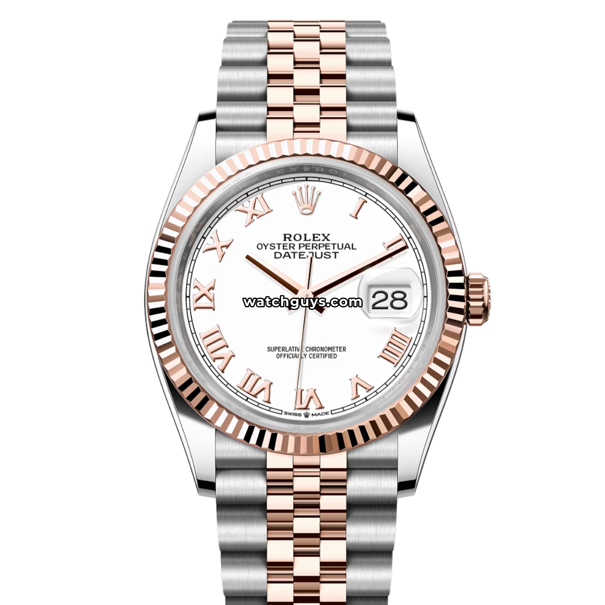 Two Tone Rolex Watches - Shop Stainless Steel & Gold Rolex | WatchGuys