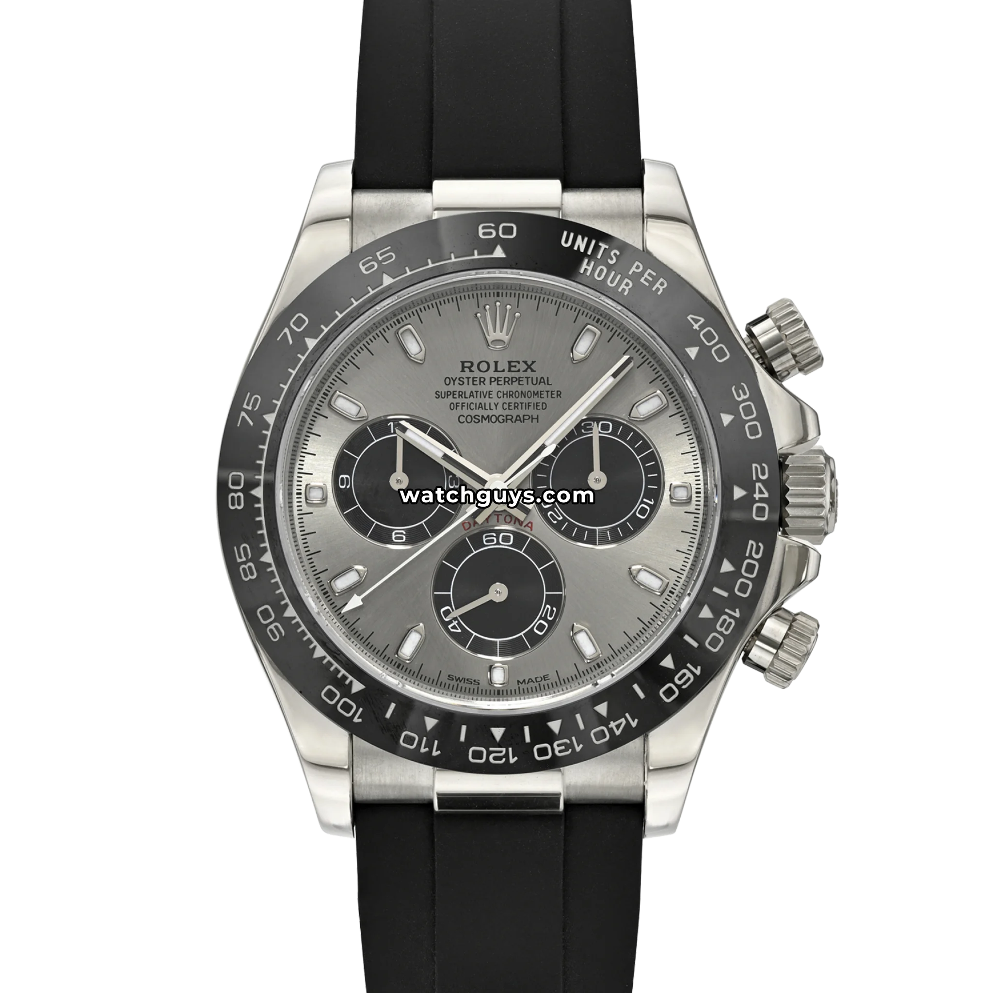 Rolex Daytona Ghost reference 116519LN in white gold with grey dial and black Oysterflex strap product photo from WatchGuys