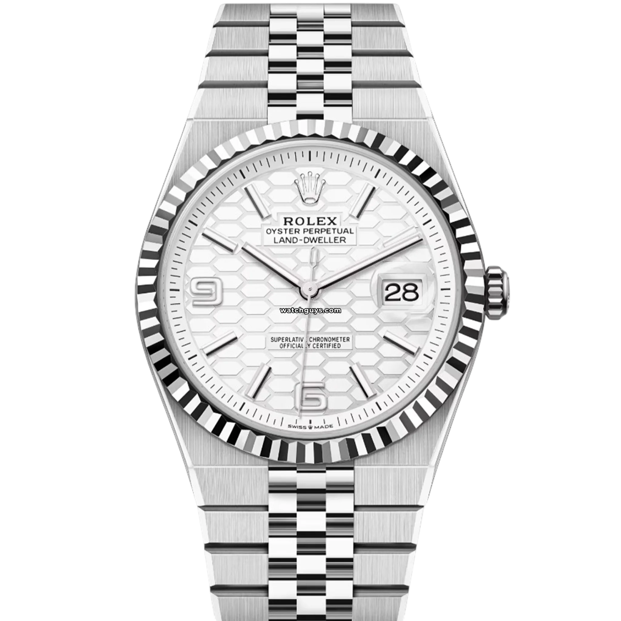 Rolex Land-Dweller in Oystersteel and white gold