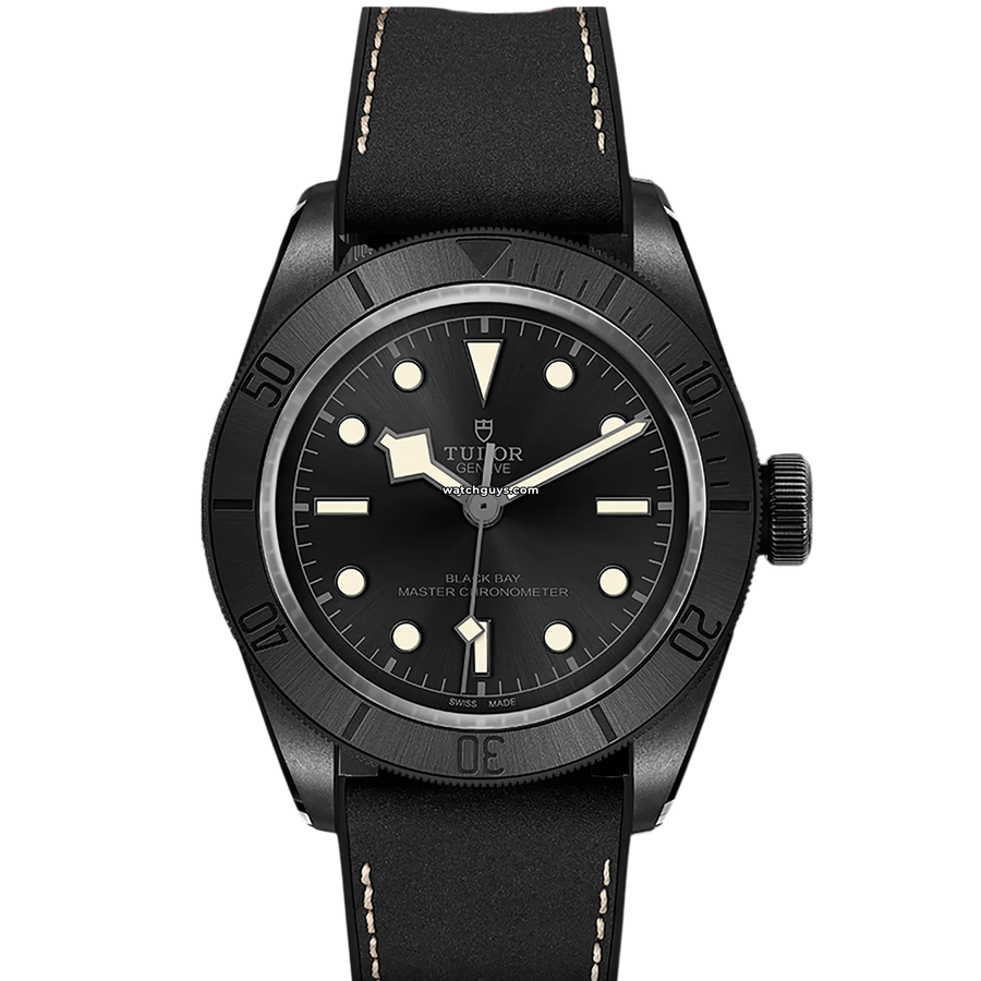 Tudor Black Bay 79210CNU Black Watches