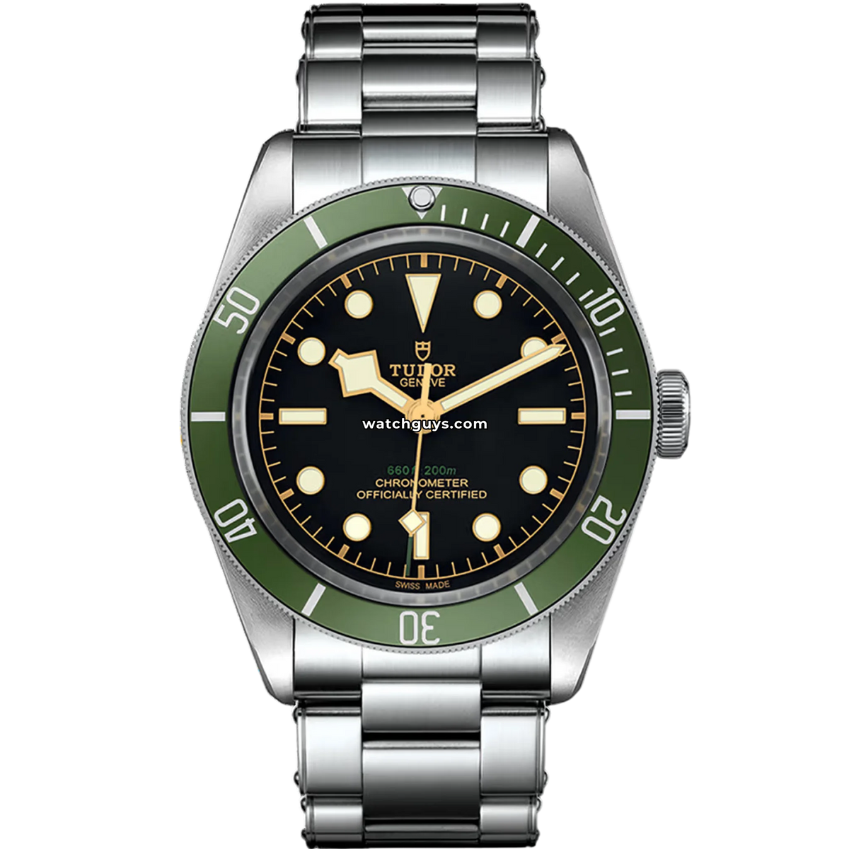 Tudor Black Bay 79230G Stainless Steel 41mm – WatchGuys