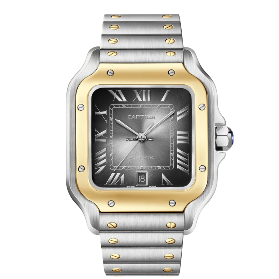 Cartier Santos Large W2SA0030