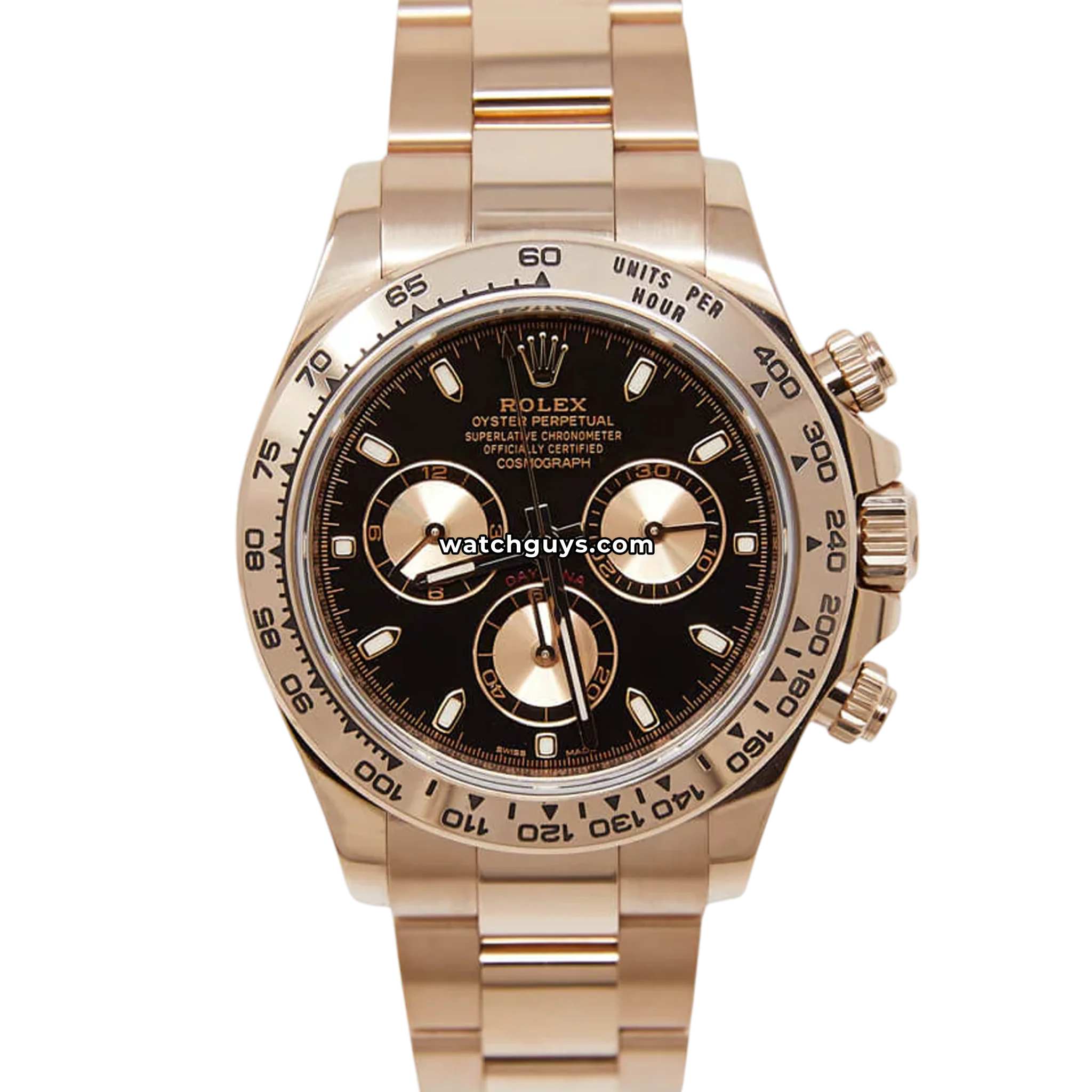 Rolex Daytona reference 116505 in everose gold with black dial and gold subdials product photo from WatchGuys