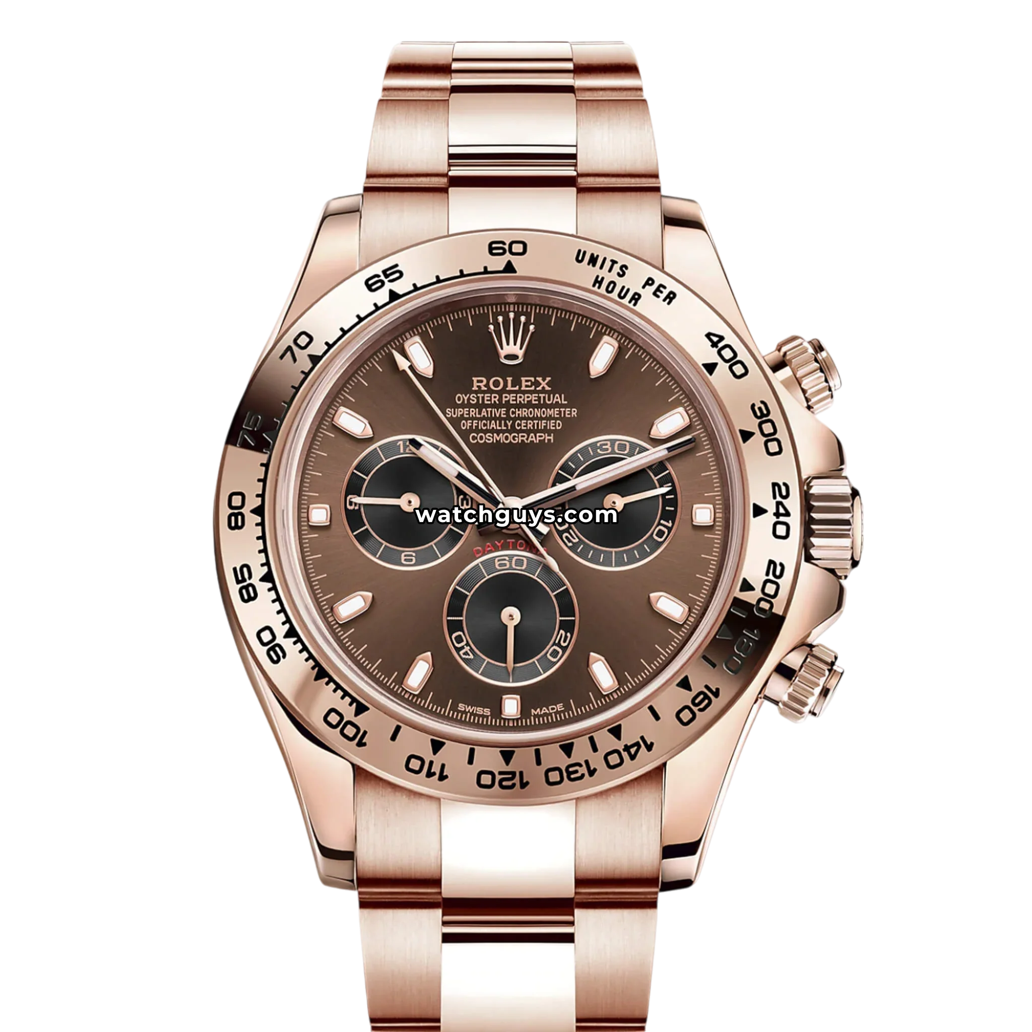 Rolex Cosmograph Daytona reference 116505 in Everose gold with chocolate brown dial and black subdials product photo from WatchGuys