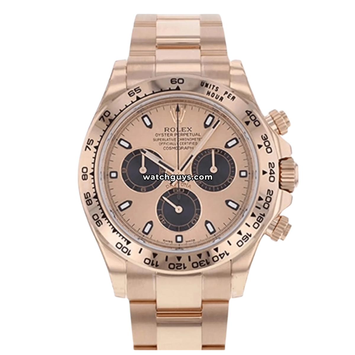 Rolex Daytona 116505 Everose Dial 40mm – WatchGuys